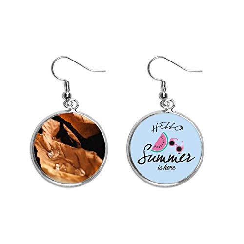 Pendientes de sandía y planta de verano para adorno del lóbulo