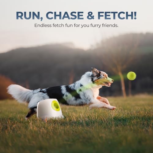 ALL FOR PAWS Automatischer Ballwerfer, mit 3pcs Tennisbälle (2.5'') Hunde Ball Interaktive Ballwurfmaschine 6 2.5' Tennisbällen Inklusive