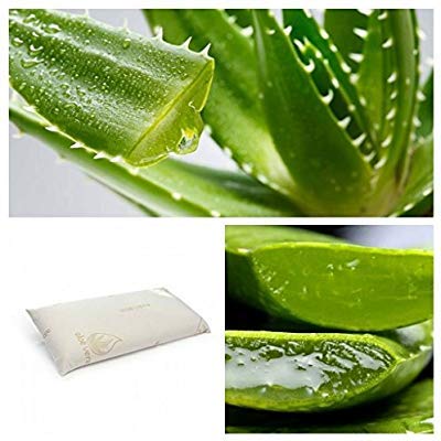 REGALITOSTV Aloe Vera Almohada Viscoelástica Carbono Activo Fabricada En España Anatómico...