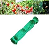 Garden Netting for Plants Fruit Veg Patch Grass Seeds, Anti Bird Netting Kit with Plastic Ground Pegs, Pond Netting Cover, Plant Netting Protection Garden Mesh Fence (Green, 2x10M)