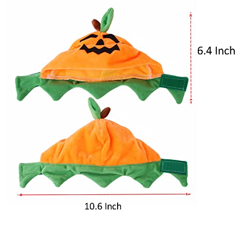 Disfraz de Halloween para perro XS con gorro y bufanda de calabaza miniatura 4