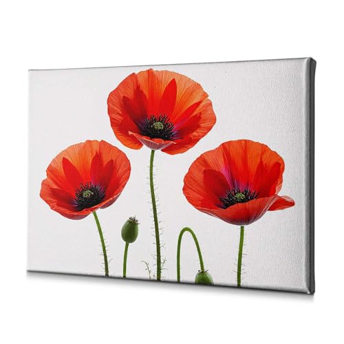 Toile coquelicots rouges 20x30 cm pour décoration murale
