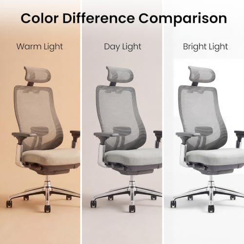 Image of COLAMY Ergonomic Mesh Office Chair, High Back Executive Desk Chair with Adjustable Headrest, 4D Arm, Slide Seat, Tilt Lock, Lumbar Support, Light Grey