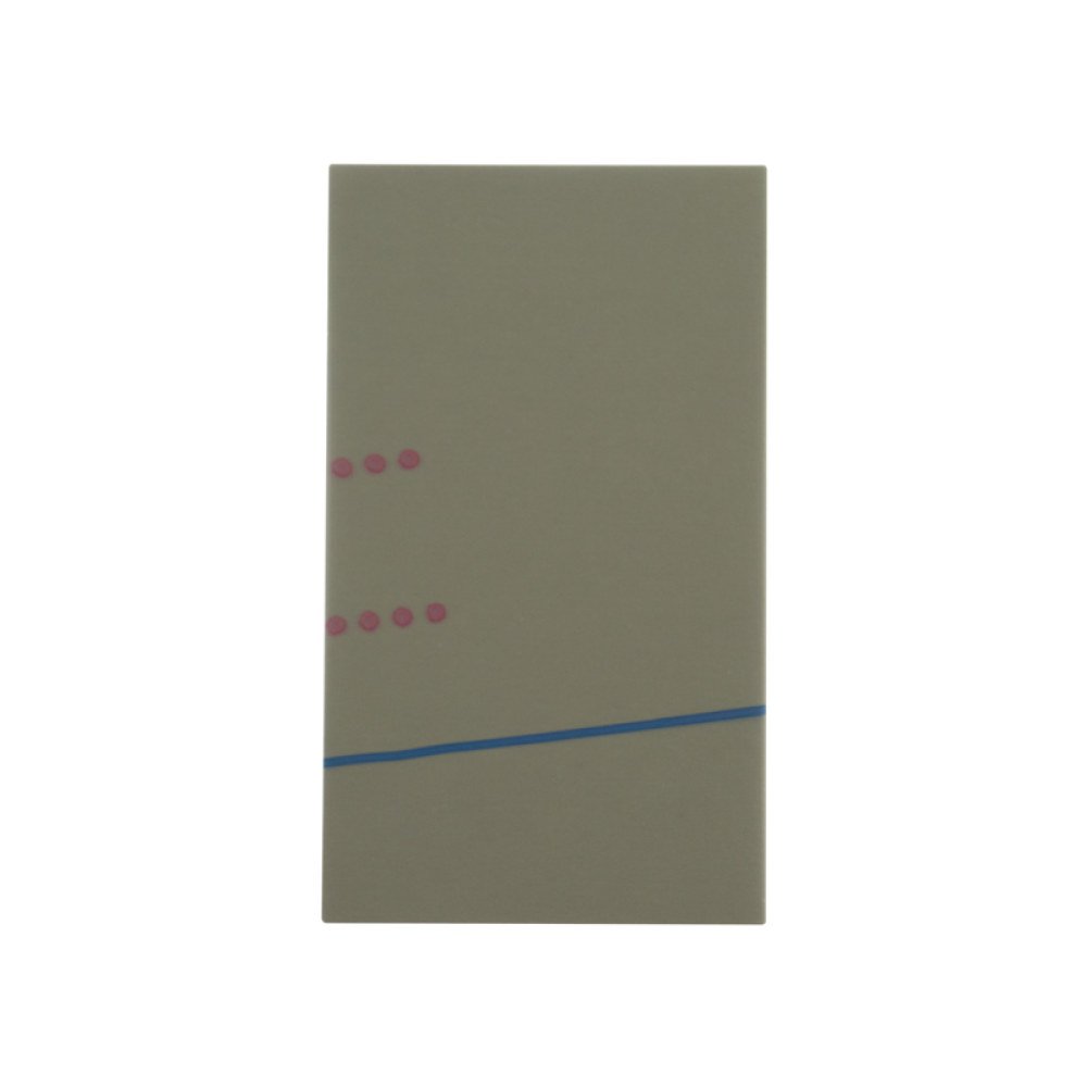 Wholesale Gadget PartsPolarizer/Diffusor Film for Apple iPhone 5C with Glue Card