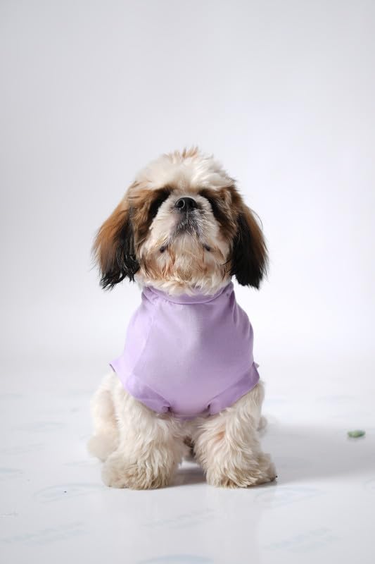 Image of Thunder Tails Premium Cotton Dog T-Shirt | Adjustable Neck | for Small Dogs | Lilac | Medium | for Shih tzu