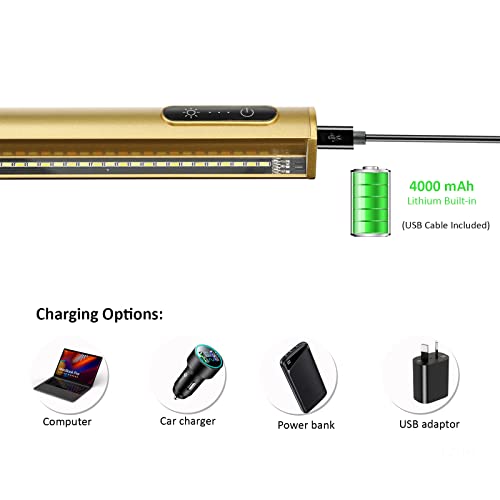 Image of Wireless Picture Light Battery Operated,19.7 inch Rechargeable Painting Light with Remote Control, Metal Art Display Lamp,3 Modes,Dimmable Dartboard Light with Timer for Dartboard Gallery