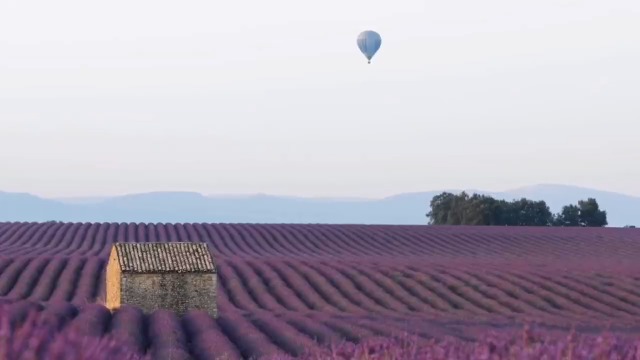 Kinforse Whimsical Owl-Design Soy Candle Gift Set for Women | Elegant Home Decor & Stress-Relief Presents | Luxe Birthday Gifts for Her, Spa Nights or Zen Home Decor (3-Pack)