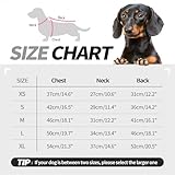 Hjyokuso Fleece Pullover für Dackel Größe M - Warme Hundesweatshirts, Elastische Kleidung für Mittelgroße Hunde