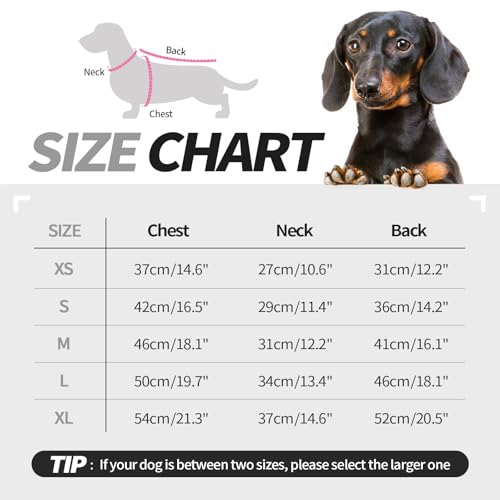 Hjyokuso Fleece Pullover für Dackel Größe M - Warme Hundesweatshirts, Elastische Kleidung für Mittelgroße Hunde