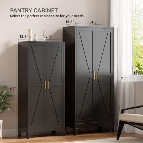 Image of Farmhouse Pantry Cabinet with Barn Doors,61 inch H x 27.5 inch W,Metal Cabinet with Adjustable Shelves,4-Tier Storage Cabinet for Kitchen Dining Room Garage Office,Black 1 Pack