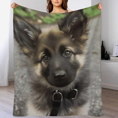 Couverture douce berger allemand idéale pour soirées cocooning canapé - 6