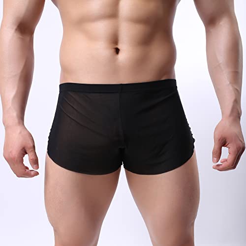 Evankin Men's Sexy Boxer Briefs Ultra-Thin Mesh Underwear Breathable Low Rise Arrow Short Pants2