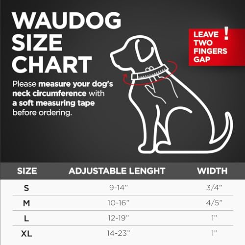 Collar impermeable WAUDOG ajustable con placa QR para perros miniatura 6