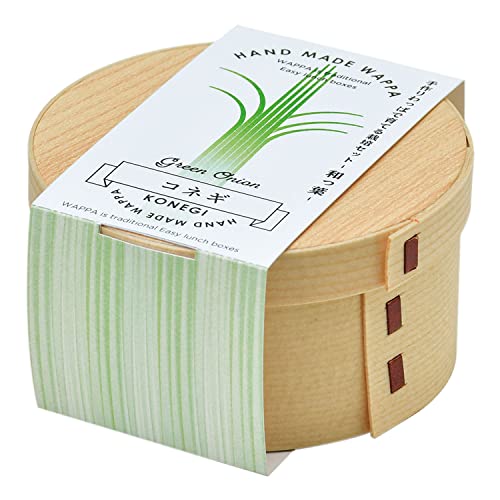 聖新陶芸 栽培セット WAPPA 和っ葉栽培セット コネギ GD-95603 茶色