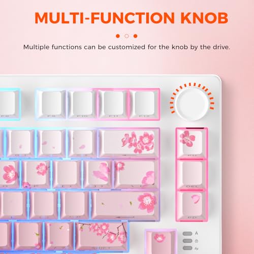Mechanical Keyboard Wireless Hot-Swappable
