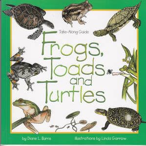 Amazon.co.jp: 洋書 Frogs,Toads,and Turtles カエル