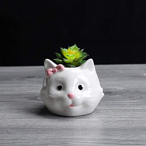 Articles Pour Jardin Et Terrasse Paniers Pots Et Jardinieres Pour Plante Vase Pot De Fleur Forme De Chat Plante Terrarium Succulente Support En
