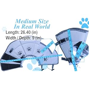 Superior Strong Oxford Cotton Lining Adjustable Buckle Pet Friendly Waterproof Secure Fit Soft & Protective Dog Cone Collar for Grooming, After Surgery Recovery, Rashes Protection (Medium) Superior Strong Oxford Cotton Lining Adjustable Buckle Pet Friendly Waterproof Secure Fit Soft Protective Dog Cone Collar for Grooming After Surgery Recovery Rashes Protection Medium