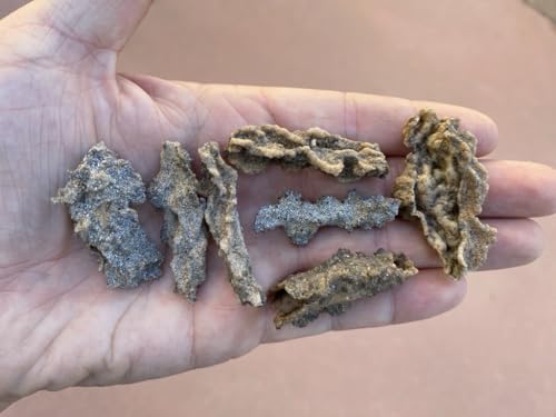 Image of Starborn Fulgurite Specimen (Medium) 3.5-4.5 cm