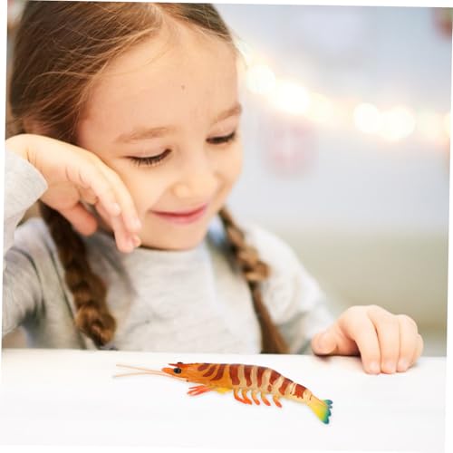 Toyvian Deko-Garnele Modell wie echt – Detailgetreue Simulation Meeresfrüchte Pädagogisches Naturkunde Spielzeug für Schule Kindergarten Robustes Kunststoff Tierfigur Set für Sammler Meeres-Deko