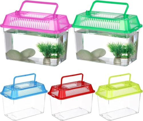メダカ 飼育セット」の人気商品一覧 | 安い商品を通販サイトから探す