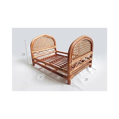 j[{[tHg V Ԃ̎ʐ^ tHg c ֎q Bep oXPbgtHgoXPbg ԂJS oXPbg Be QA[g oYj ҂݂ (F)