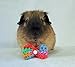 Crochet Rainbow Swirl Bows and Bowties for Guinea Pigs, Bunnies, Hamsters, Chinchillas, & Small Pets (Rainbow Swirl Bowtie)