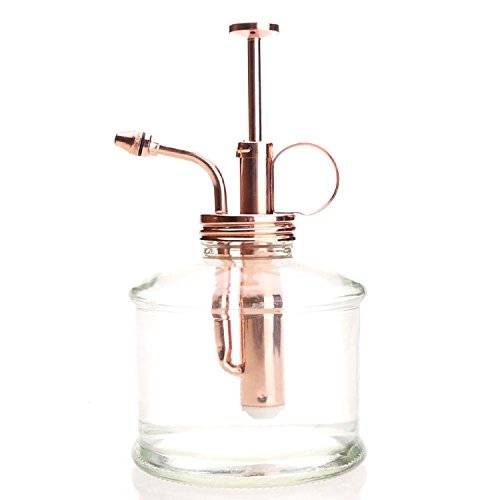Purism Style Plant Mister- Glass Bottle & Brass Sprayer (Clear & Rose Gold)