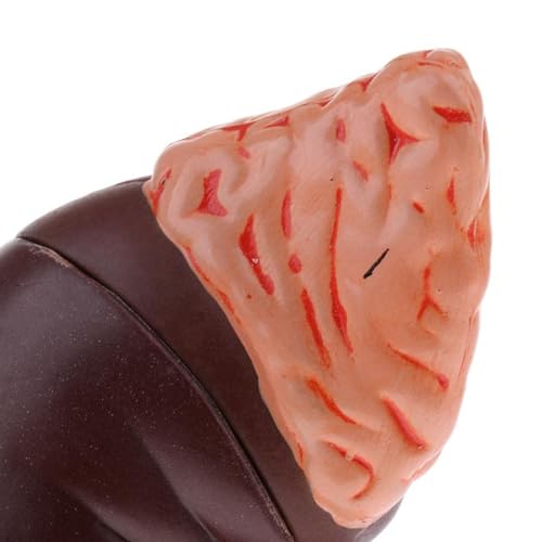 Image of Human Kidney Model, Life Size Anatomical Kidney Model with 24 Markers for Medical Teaching, Doctors Office, Educational Tool, Internal Structure Kidney Anatomy for Students, Health Courses