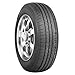 Evoluxx Capricorn HP All-Season Passenger Car Performance Radial Tire-205/65R15 205/65/15 205/65-15 94H Load Range SL 4Ply Black Side Wall Utqg 700AA