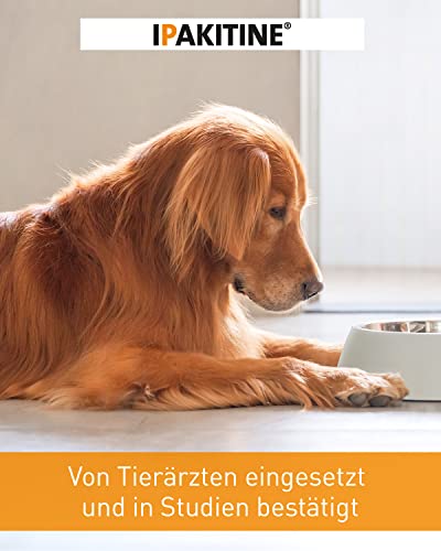 Vetoquinol Ipakitine | 300 g | Ergänzungsfuttermittel für Katzen und Hunde | Zur Unterstützung der Nieren | Bei Niereninsuffiziens | Pulver zur Einmischung in das Futter