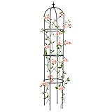 Trellis for Climbing Plants Outdoor, deaunbr Garden Plant Support Tall Tower Obelisk Vine Cages Plastic Coated Rustproof Metal Pipe Supports for Outdoor Indoor, Potted Plants, Tomato, Rose - 1 Pack