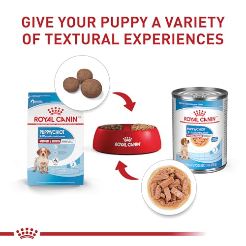 Royal Canin Size Health Nutrition Medium Puppy Dry Dog Food, 4 lb image 3