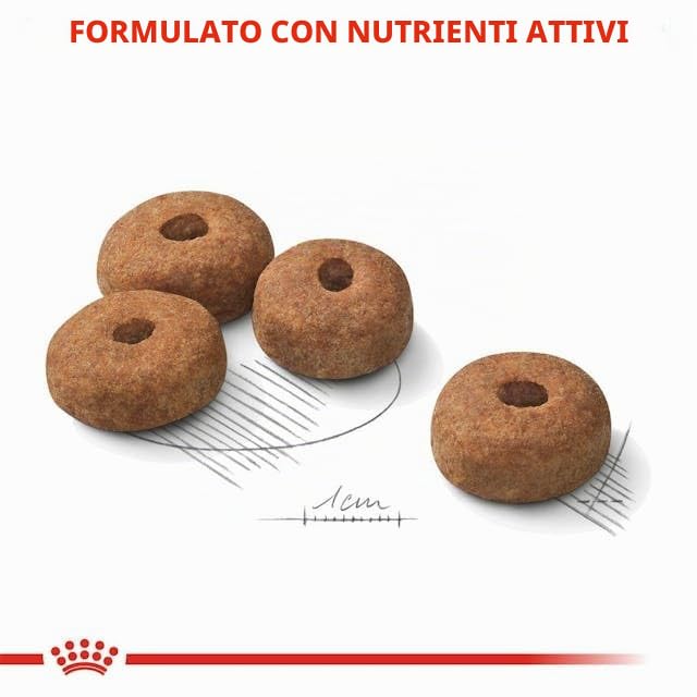 ROYAL CANIN CANE MAXI STERILISED ADULT 12 KG