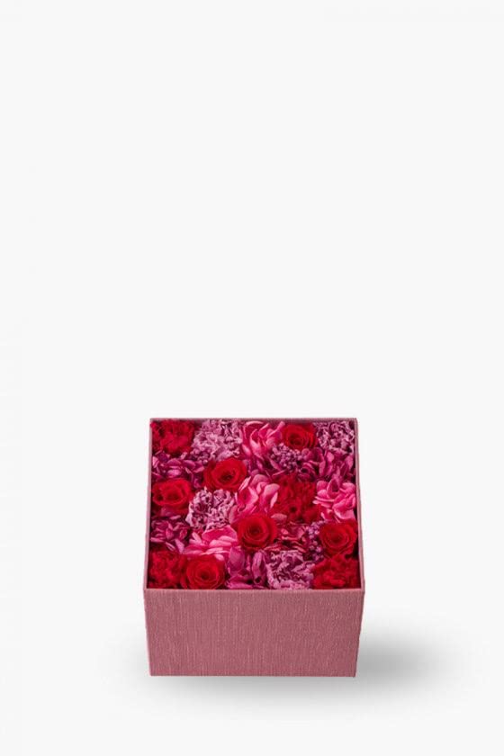 Amazon｜【母の日】 ニコライバーグマン Nicolai Bergmann Bloom