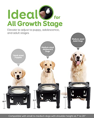 Pawque Raised Dog Bowl, Elevated Dog Bowls, Raised Slow Water Feeder Bowls 2.3L Stand with Adjustable 3 Heights (6.1", 7.7" - Image 2