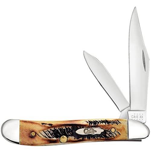 Image of Case XX WR Pocket Knife Peanut 6.5 Bonestag Item #22303 (6.5220 SS) 2 7 /8 inches Closed, Made In USA