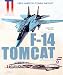 Grumman F-14 Tomcat in Combat (Great American Combat Aircraft)