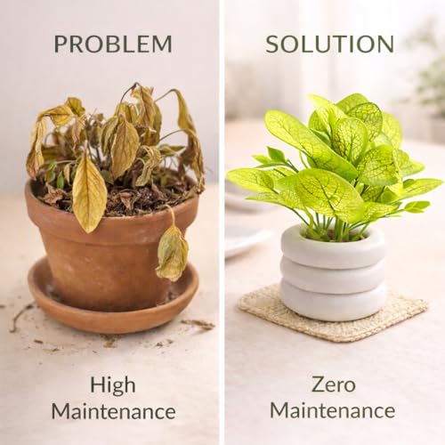 Image of Artificial Mini Potted Plant with Modern White Ceramic Zen Pot - Faux Greenery for Home Decor, Office Desk, Kitchen & Bedside - Realistic Lifelike Leaves, Small Decorative Indoor Plant for Gifting