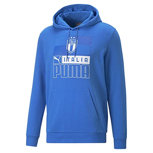 Sweatshirt PUMA FIGC Ftblcore sweat à capuche homme football coupe décontractée