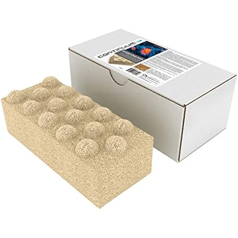 CONTINUUM AQUATICS Exxodus Nitryx Brick - Porous Filtration Media for Nitrate Removal in Marine Saltwater and Freshwater Aquariums Cover