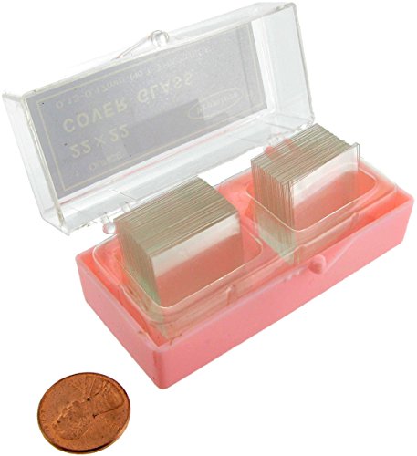 Cover Glass I 50 x 22 mm. [ 1 Pack(s)]