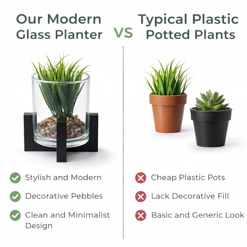 Image of CURATED CART Artificial Plant with Glass Pot for Home Decor, Mini Small Decor Item, Fake Succulent Plant for Office Desk Home Decoration, Pebbles & Wooden Stand Included, 12cm Indoor Decor
