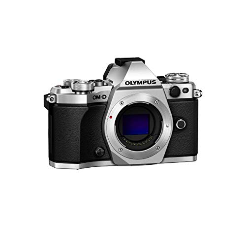 OM SYSTEM OLYMPUS OM-D E-M5 Mark II (Silver) (Body Only)