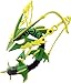 Takaratomy Official Pokemon X & Y Hyper Size HP-07 Mega Rayquaza 5