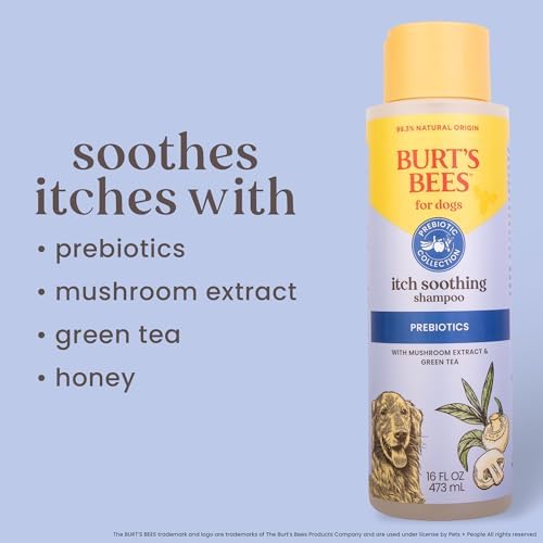 Burt's Bees for Pets Itch Soothing Shampoo Prebiotics Mushroom Extract Green Tea Naturally Derived Dog Shampoo Itchy Skin Relief 16 OZ