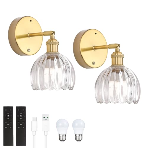 Shenmoyl Battery Operated Vintage Wall Sconces with Transparent Tulip Glass Lampshade Battery...