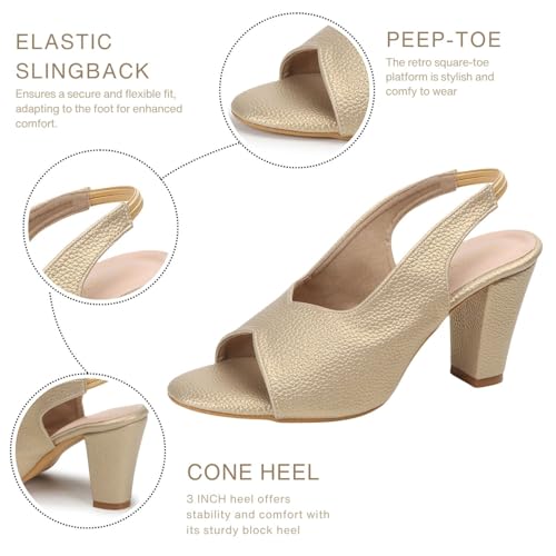 Image of TRASE Ankle Strap Pointed Toe Block Heel Pumps Sandals For Women| Fashionable Sandals, Office, Party and Formal Occasions | Light weight, Soft Footbed, Comfortable & Stylish - (47067)