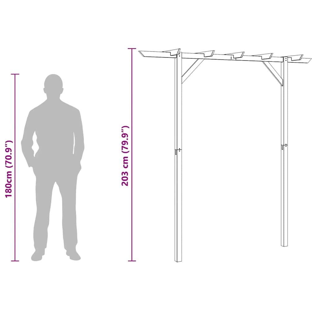 vidaXL Bois Pergola de Jardin 200x40x205 cm Rosiers Plantes Grimpantes Voute