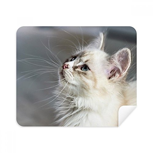 Chiffon chat mignon essuyage écran de téléphone et lunettes en suède 2Pcs
